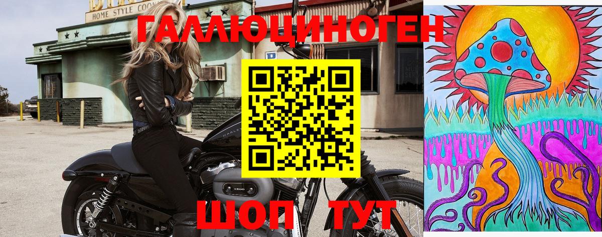 Псилоцибиновые грибы мицелий Ковров
